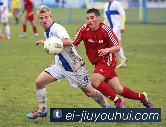 App Interface Preview